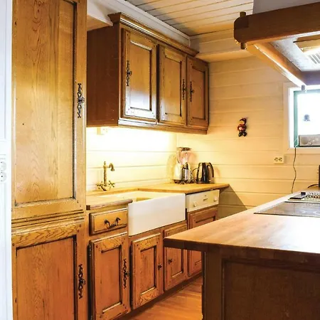 Three-bedroom In Hovden I Setesdal *